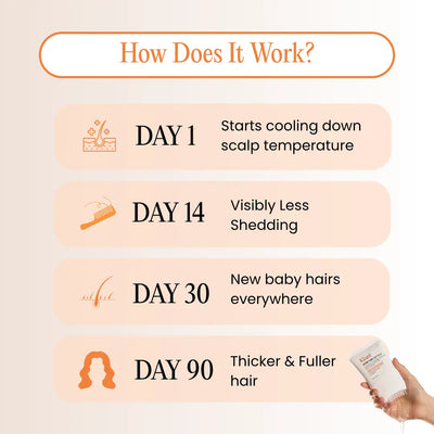 #1 Korean Exoscalp Hair Serum