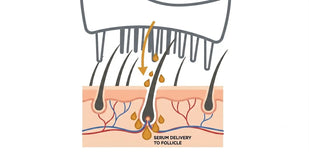 The brush tip reaches the root